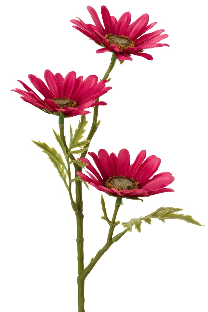 12463-2.webp