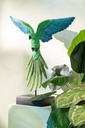 60223-A.webp
