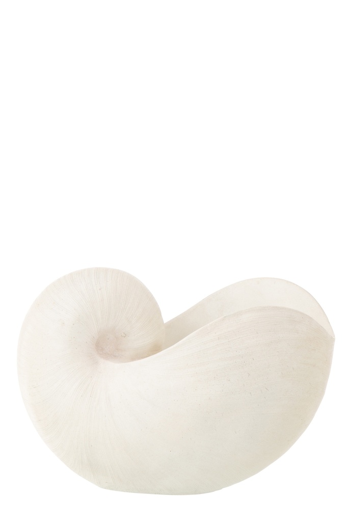 Shell Resin White – photo 2 – J-Line Mauritius