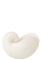 Shell Resin White – photo 2 – J-Line Mauritius