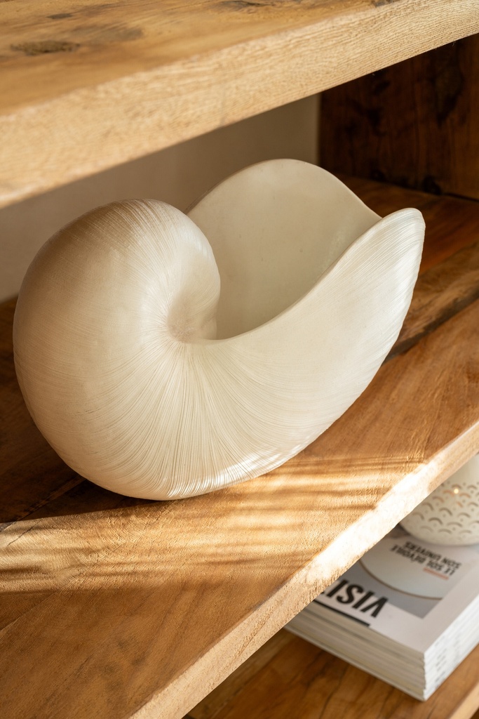 Shell Resin White – photo 3 – J-Line Mauritius