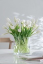 32900-A.webp