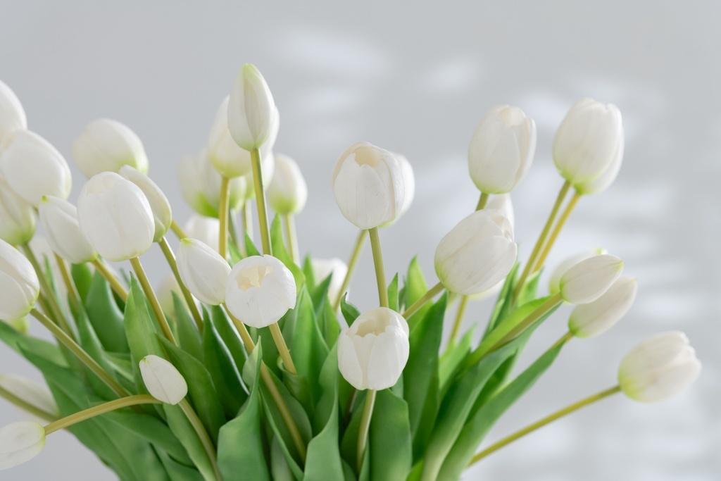 32900-C.webp