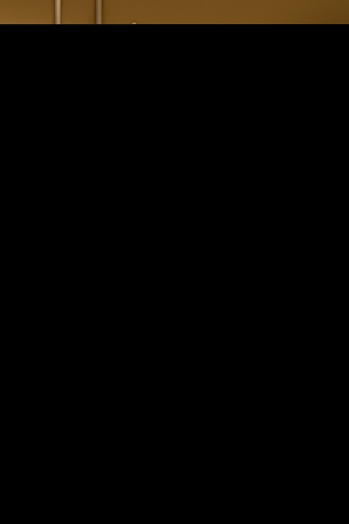 49004-D.webp