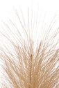 36966-2.webp