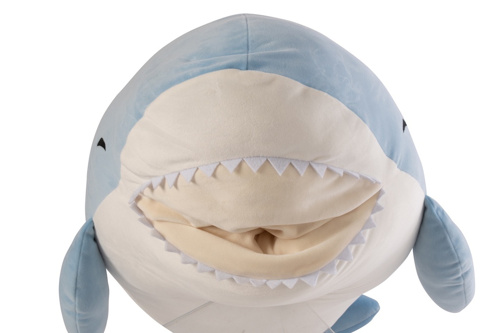 64004-2.webp