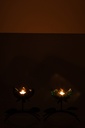 62950-3.webp