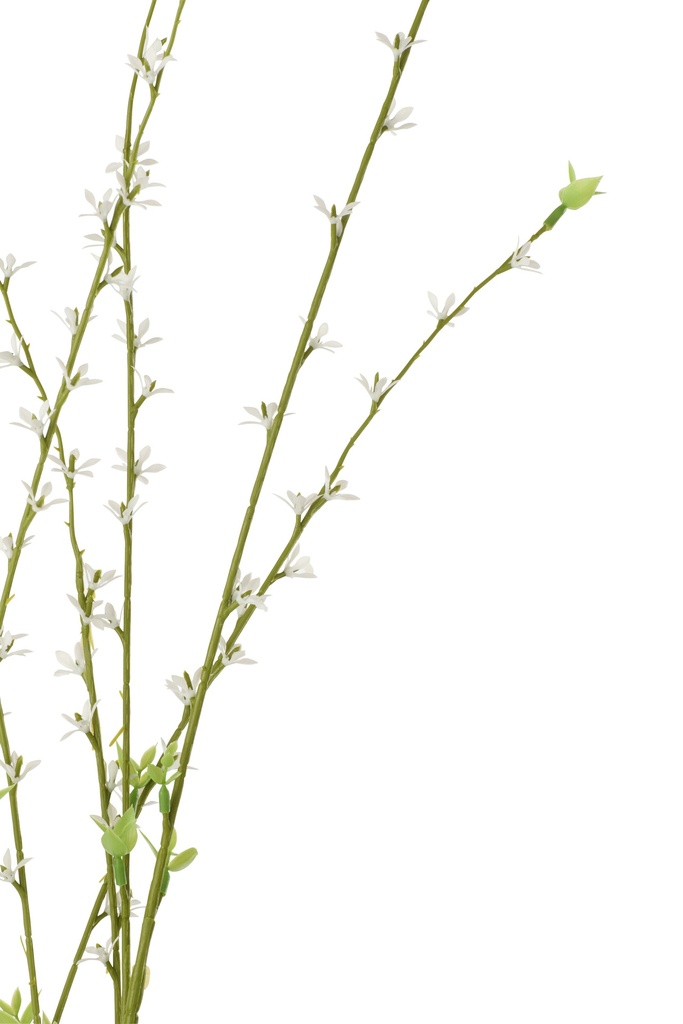 63815-2.webp