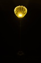 62938-3.webp