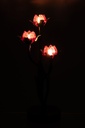 62917-3.webp