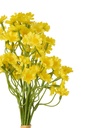 63817-2.webp