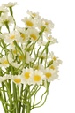 63817-3.webp