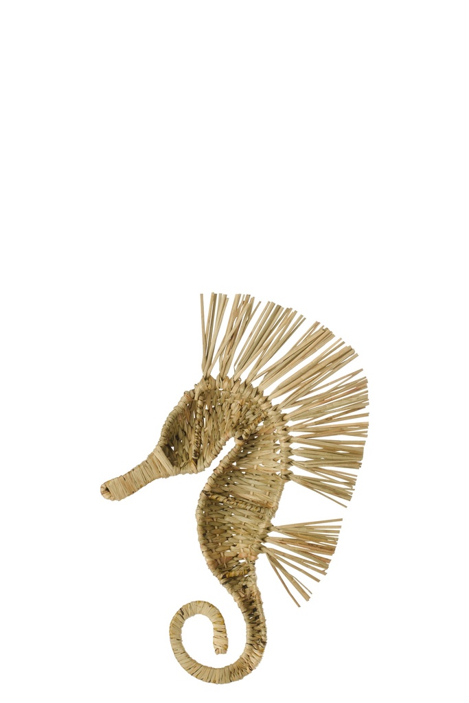 64853-2.webp