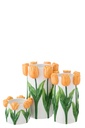 62974-2.webp