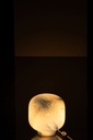 63295-3.webp