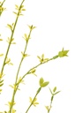 63816-2.webp