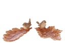 55581-2.webp