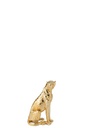 55317-3.webp