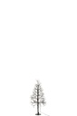 56537-2.webp