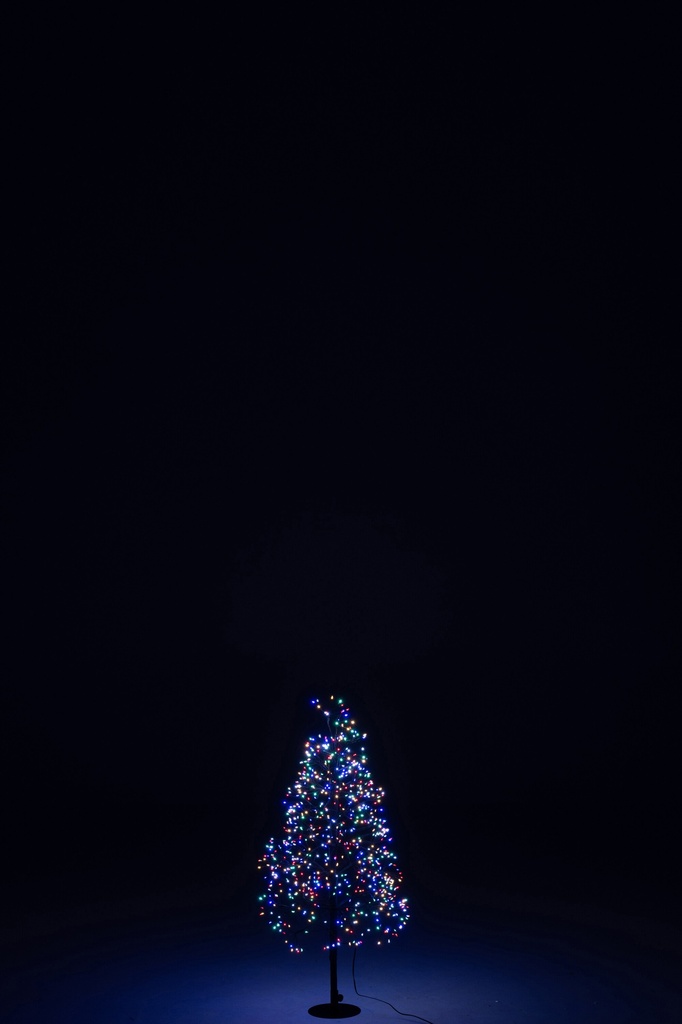 56537-3.webp