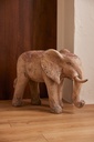 60308-A.webp