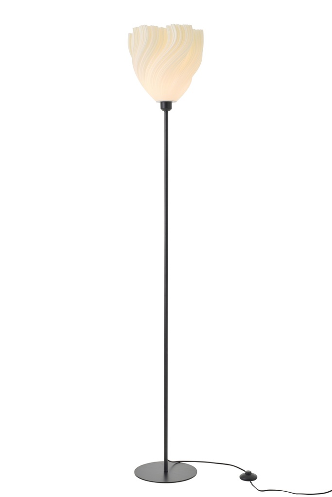 64166-2.webp