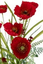43885-2.webp