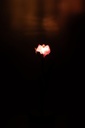62916-3.webp