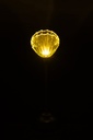 62937-3.webp