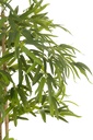 54367-2.webp