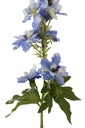 12438-2.webp