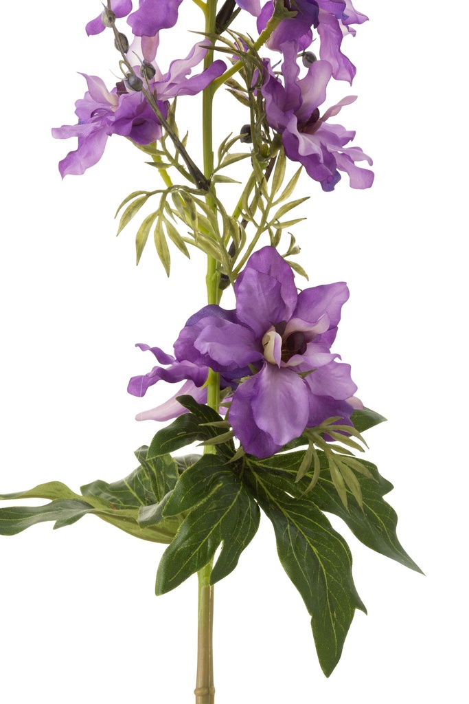 12437-2.webp