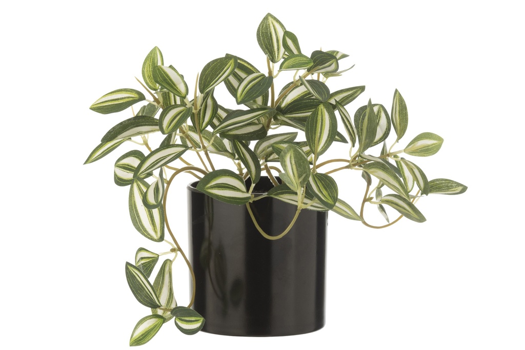 Tradescantia artificiel en pot vert/blanc