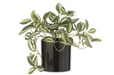 Tradescantia artificiel en pot vert/blanc