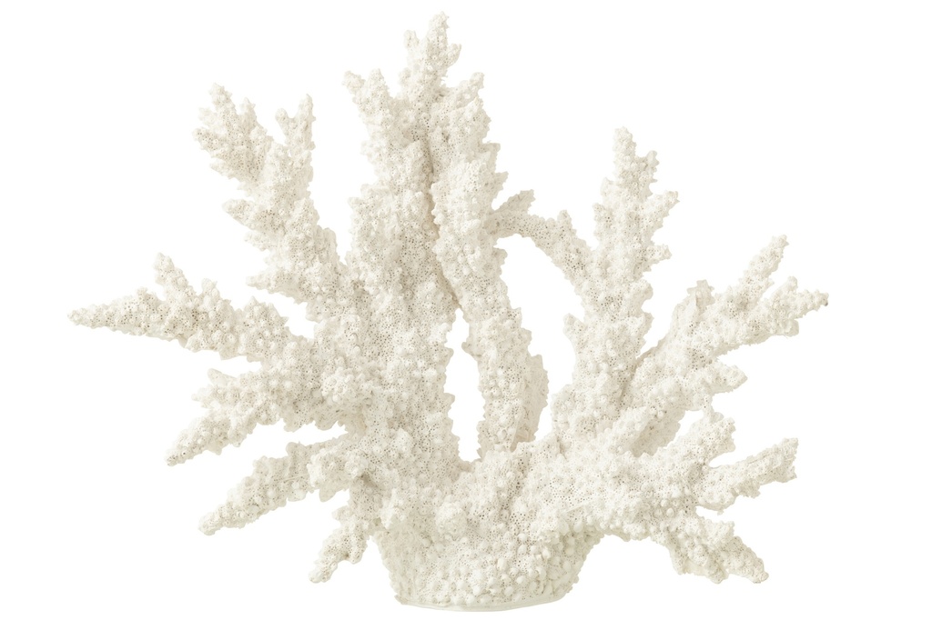 Coral Polyresin White Extra L