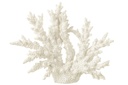 Corail Polyrésine Blanc Extra L