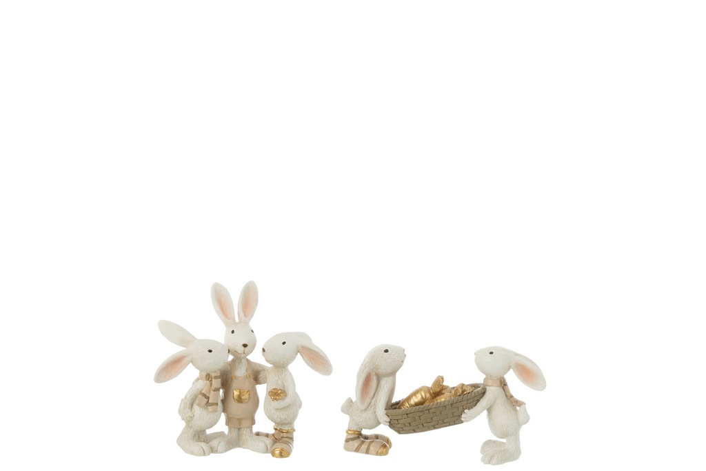 Carottes de lapin + résine câlin