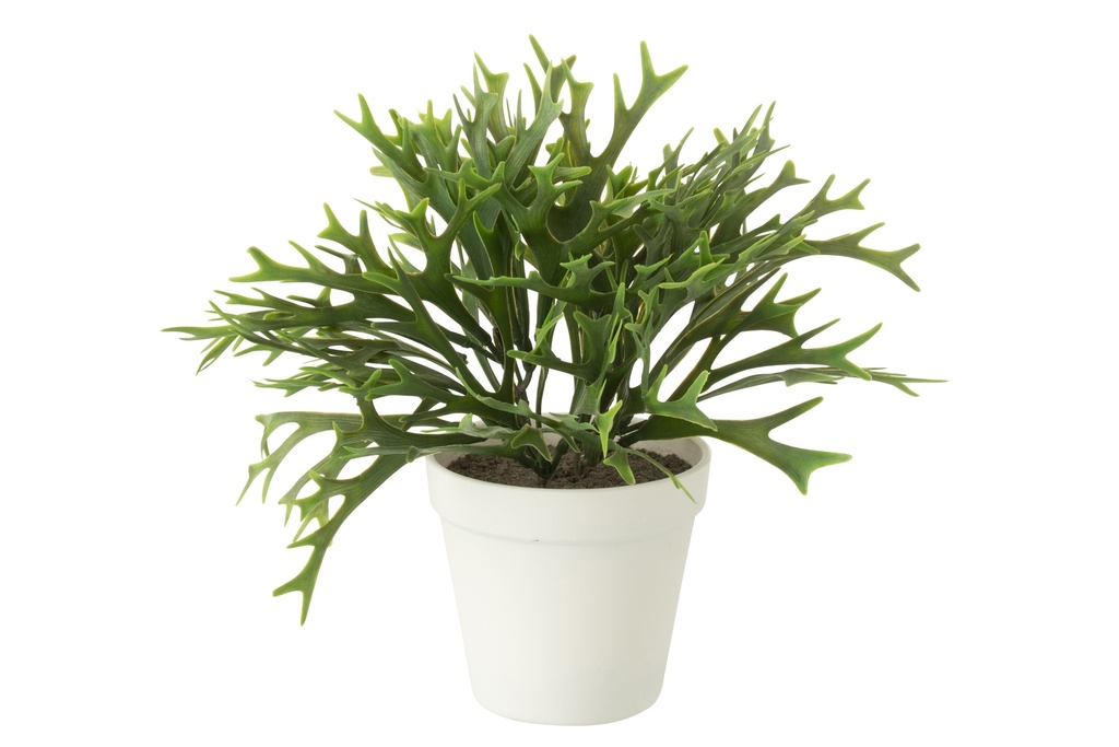 Platycerium Bifurcatum en pot artificiel
