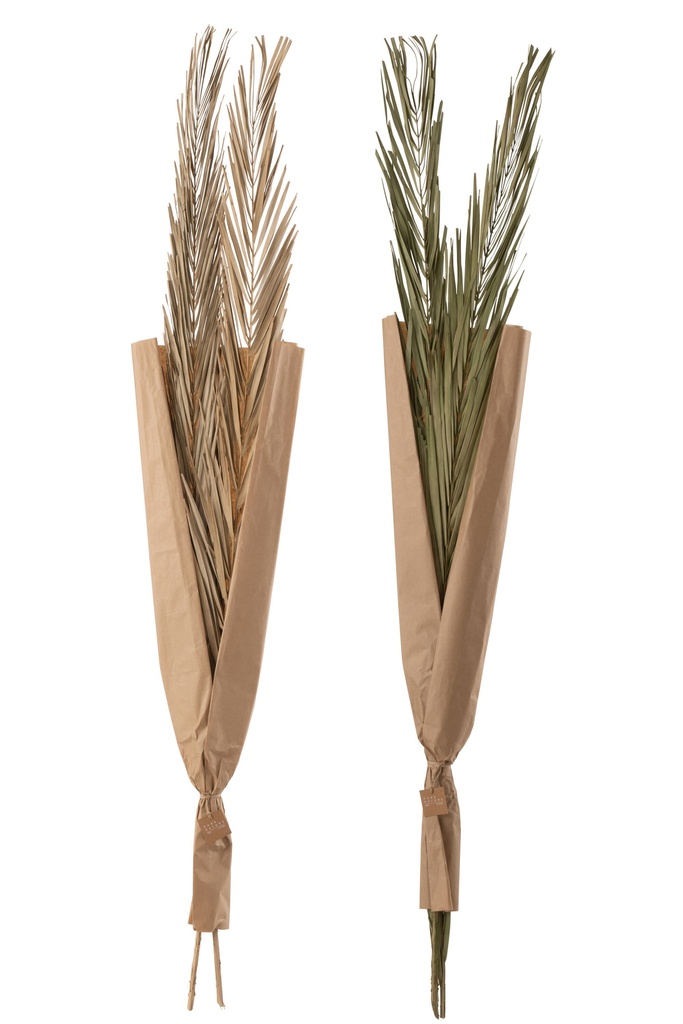 Leaves Khajur 2 Pieces Green