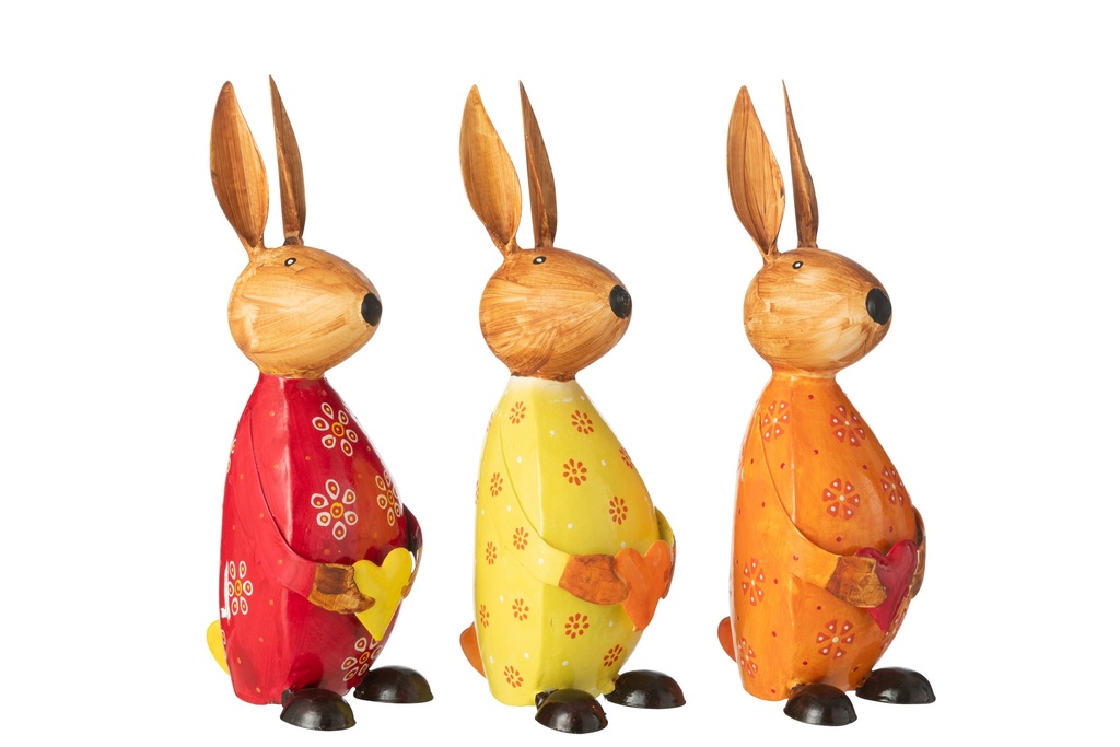Mélange de fer pour lapin tenant un cœur