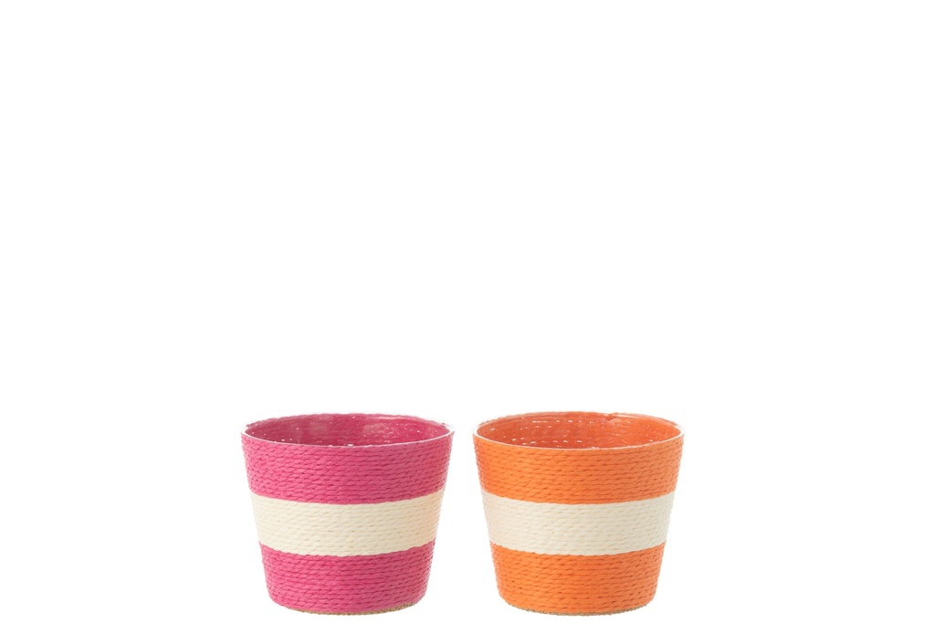 Flowerpot Ropes Stripe Paper/PET Pink/Orange