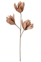 Flower Branch Short Leaves 3