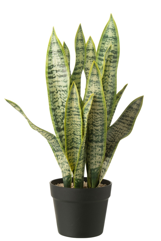 [54915] Dracaena Trifasciata In Pot Artificial