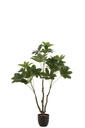 Money Tree Pot Plastic Green