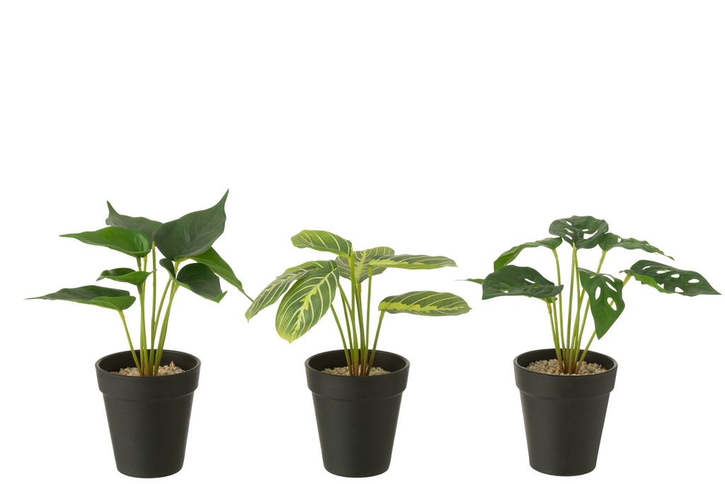 Plantes en pot artificielles vertes