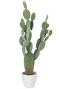Cactus+Pot Plastique Vert/Mélamine Blanc XL