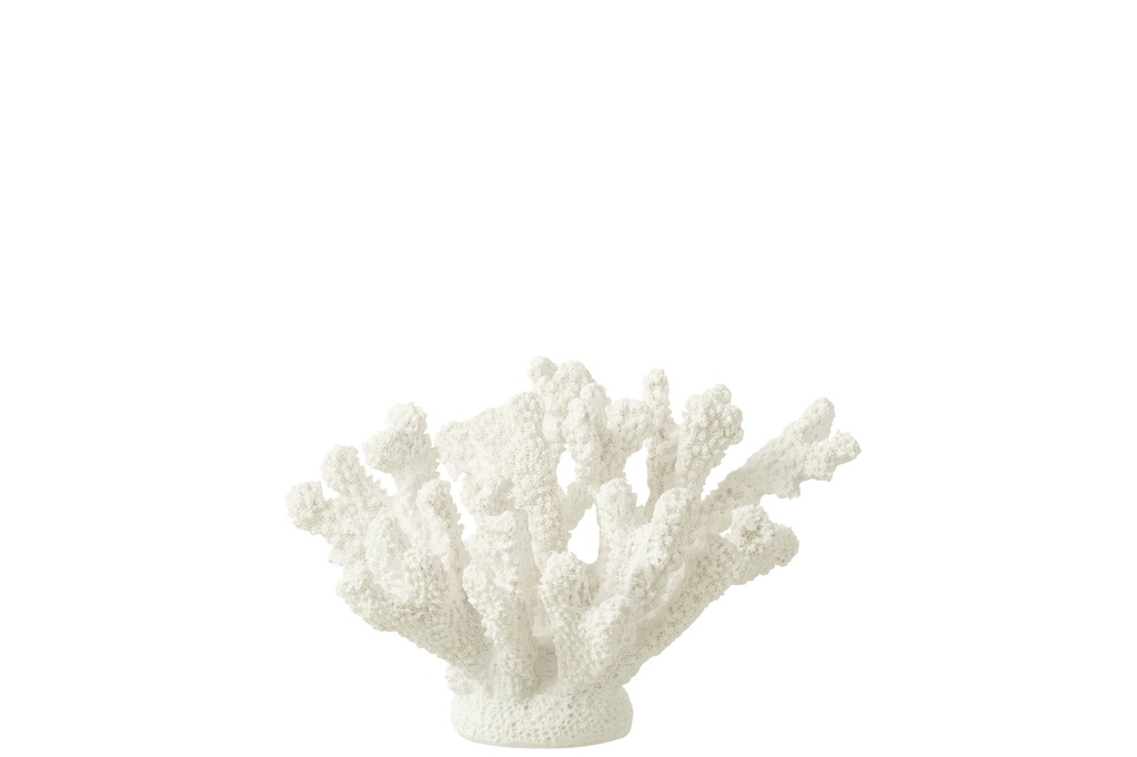Polyrésine corail blanc moyen