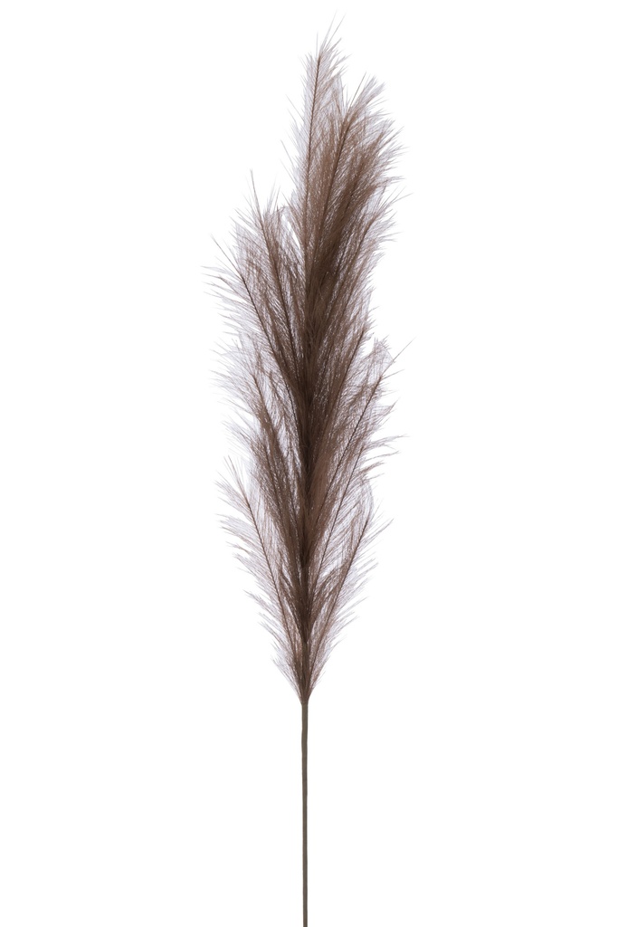Branche Plumeau Plastique Marron Foncé