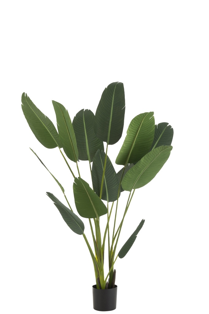 Strelitzia Plastique Vert Moyen