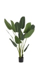 Strelitzia Plastique Vert Moyen